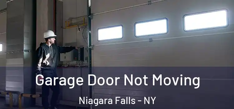  Garage Door Not Moving Niagara Falls - NY