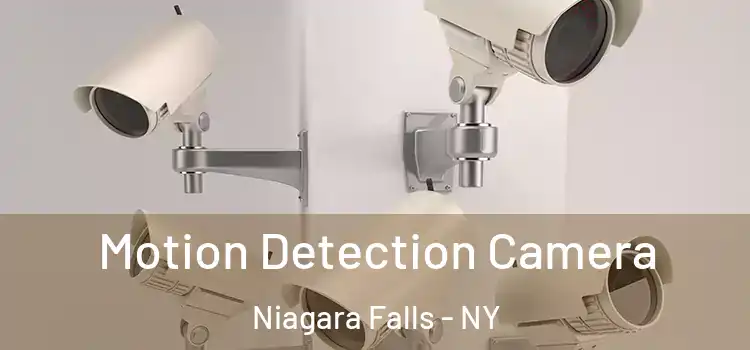  Motion Detection Camera Niagara Falls - NY